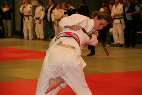Editiepajot_lenroos_judo_03_willy_appelmans