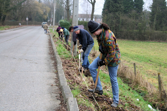 Editiepajot_roosdaal_paddenoversteek_foto_03_willy_appelmans