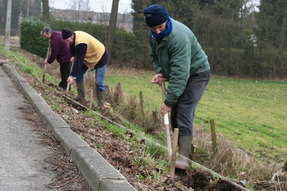 Editiepajot_roosdaal_paddenoversteek_foto_04_willy_appelmans