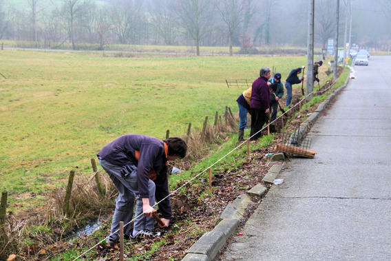 Editiepajot_roosdaal_paddenoversteek_foto_05_willy_appelmans