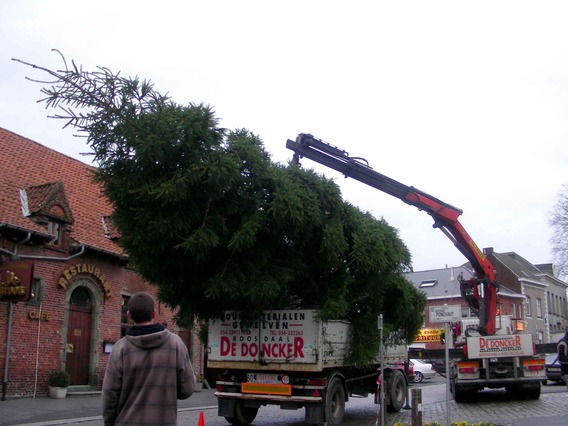 Editiepajot_roosdaal_kerstboomlombeek_foto_05_willy_appelmans