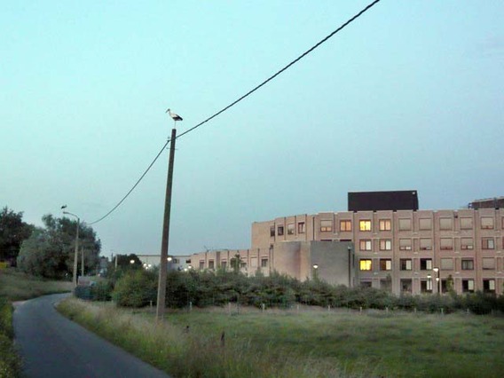 Editiepajot_halle_grote_weide_1_foto_kos