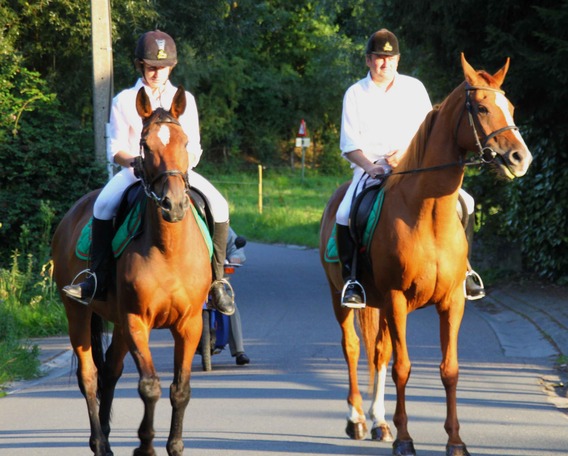 Editiepajot_roosdaal_processielombeek_foto_03_willy_appelmans