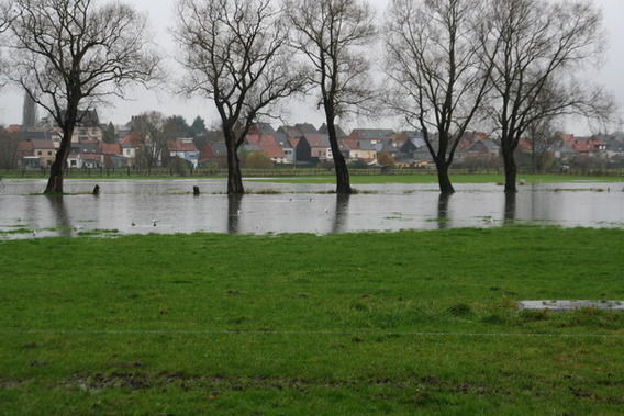 Editiepajot_liedekerke_waterellende_poortstraat_foto_jacky_delcour__1_