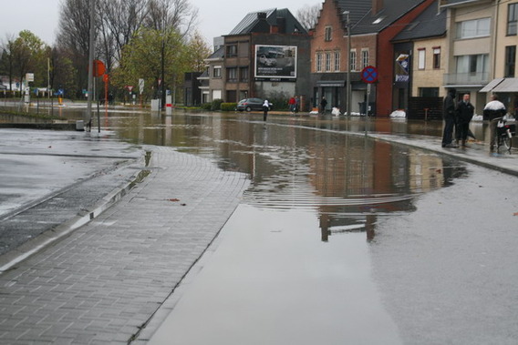 Editiepajot_liedekerke_waterellende_zondag_14_nov_foto_jacky_delcour