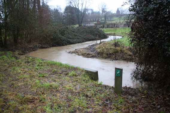 Editiepajot_roosdaal_wateroverlast_foto_04_willy_appelmans