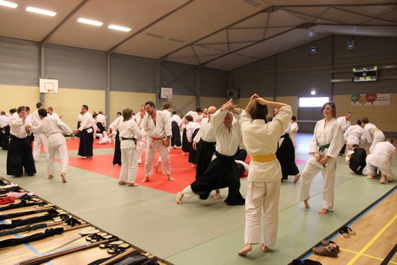 Editiepajot_liedekerke_aikido_nieuwjaar_foto_jacky_delcour