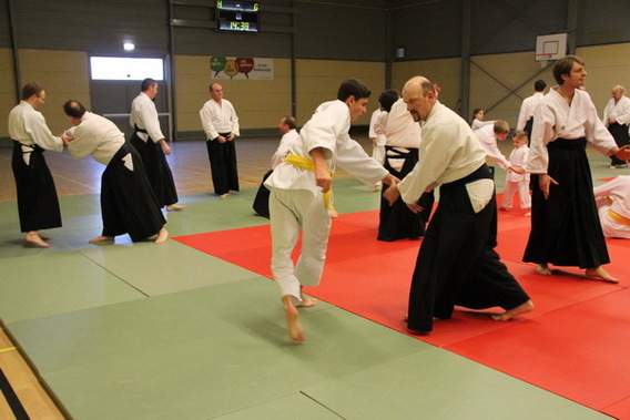 Editiepajot_liedekerke_aikido_nieuwjaar_foto_jacky_delcour__1_