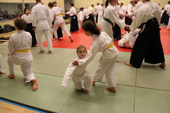 Editiepajot_liedekerke_aikido_nieuwjaar_foto_jacky_delcour__2_