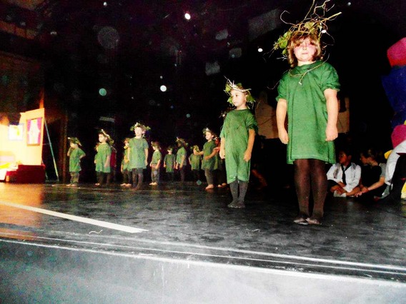 Editiepajot_halle_wonderbloem_2
