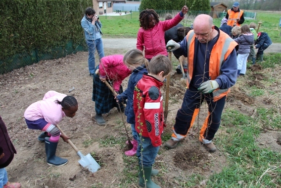 Editiepajot_liedekerke_boomplantdag_de_bij_foto_jacky_delcour__3_