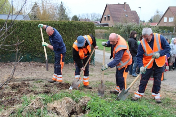 Editiepajot_liedekerke_boomplantdag_de_bij_foto_jacky_delcour__2_