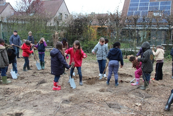 Editiepajot_liedekerke_boomplantdag_de_bij_foto_jacky_delcour__5_