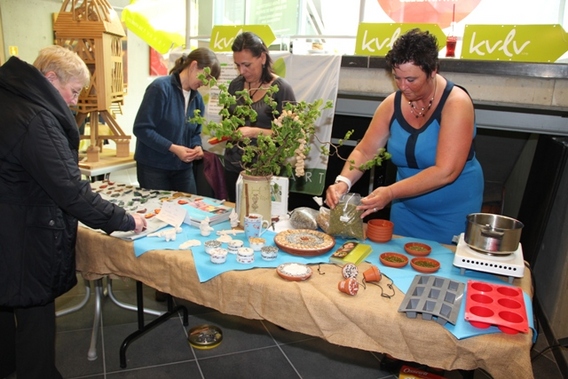 Editiepajot_roosdaal_week_van_de_amateurkunsten_foto_jacky_delcour__1_