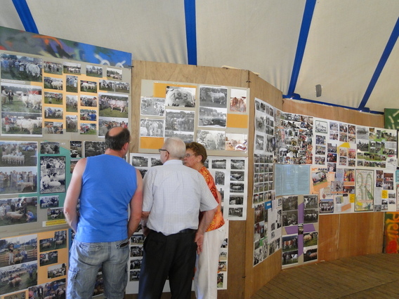 Jaarmarkt_eetfestijn_en_fototentoonstelling__5_