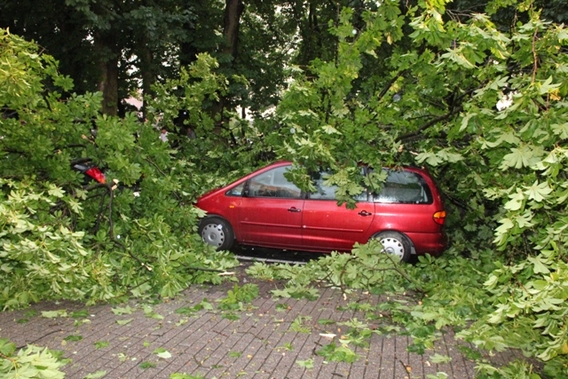 Editiepajot_liedekerke_windhos_donderdagavond_7_juni_2012_foto_jacky_delcour__1_