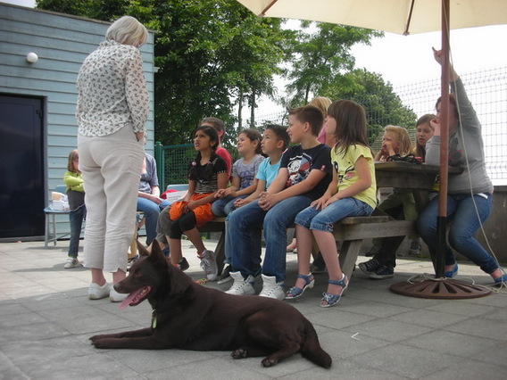 Editiepajot_roosdaal_hondengewenning_voor_kinderen_ingezonden_foto