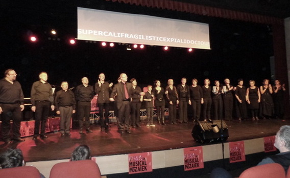 Editiepajot_roosdaal_fusa_concert_foto_jacky_delcour__1_