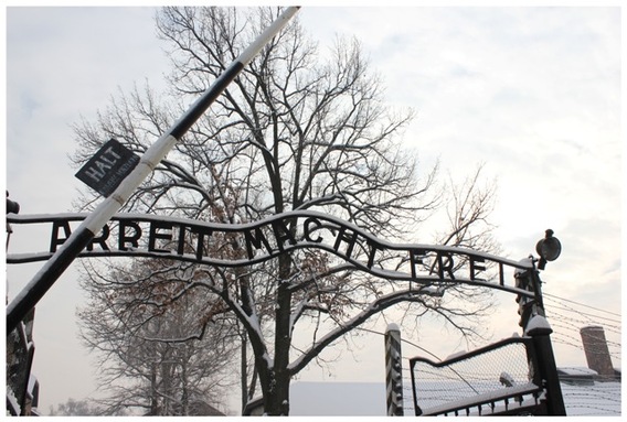 Editiepajot_roosdaal_imi_auschwitz_foto_ilse_pede__3_