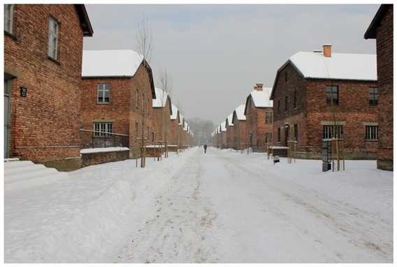 Editiepajot_roosdaal_imi_auschwitz_foto_ilse_pede__2_