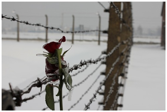 Editiepajot_roosdaal_imi_auschwitz_foto_ilse_pede__4_