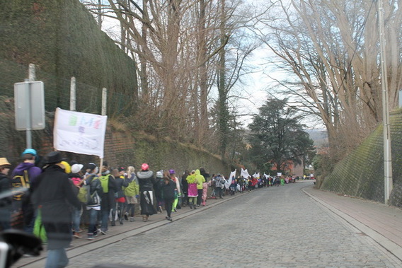 Editiepajot_roosdaal_carnavalstoet_imi_foto_ingezonden__4_