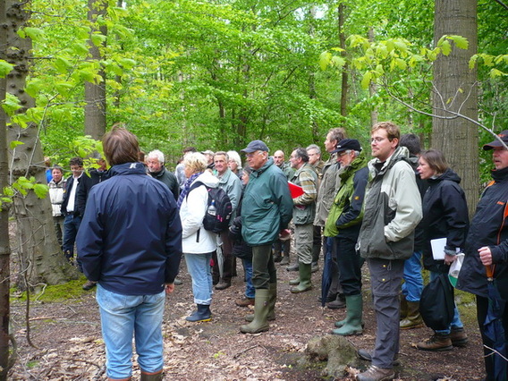 Editiepajot_asse_wandelen_in_het_kravaalbos_foto_ingezonden