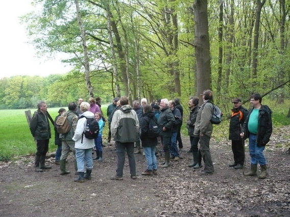 Editiepajot_asse_wandelen_in_het_kravaalbos_foto_ingezonden__1_