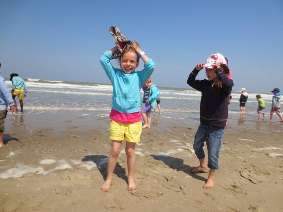 Editiepajot_liedekerke_dol-fijn_aan_zee_foto_jacky_delcour