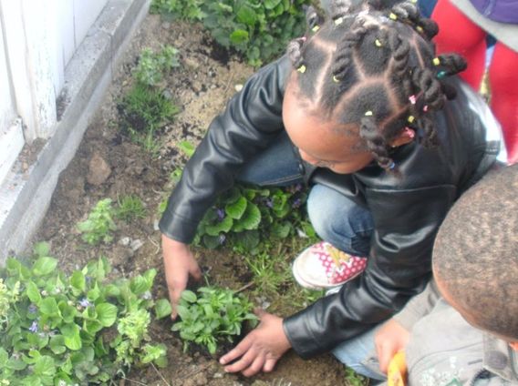 Editiepajot_asse_zellik_het_klimmertje_groene_school_foto_ingezonden