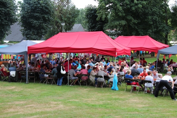 Editiepajot_affligem_teralfene_wijkfeest_steenberg_2013_foto_jacky_delcour