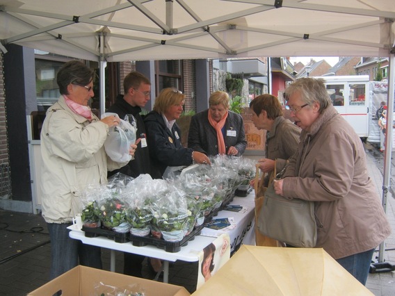 Editiepajot_liedekerke_kotk_2013_foto_jacky_delcour