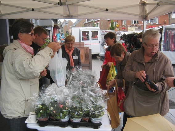 Editiepajot_liedekerke_kotk_2013_foto_jacky_delcour__3_