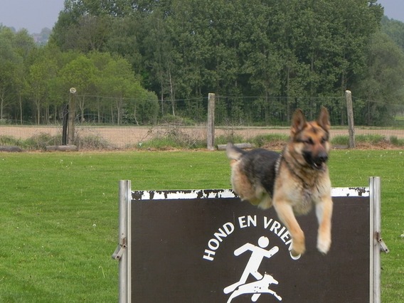 Editiepajot_roosdaal_hond_en_vriend_foto_jacky_delcour