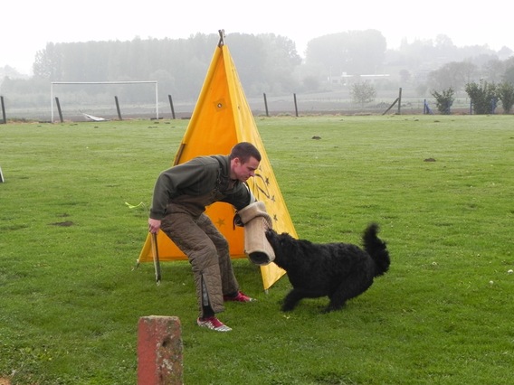 Editiepajot_roosdaal_hond_en_vriend_foto_jacky_delcour__2_