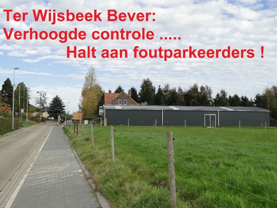 Ter_wijsbeek_bever___2_