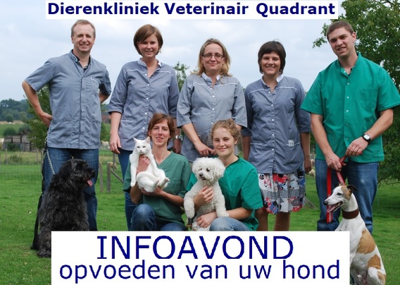 Opvoeden_van_honden