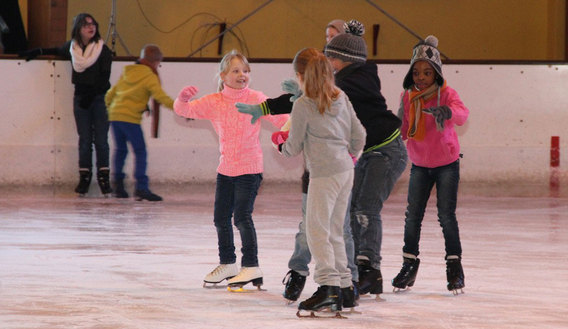 Editiepajot-jacky-delcour-knipoog4-schaatsen-24012014