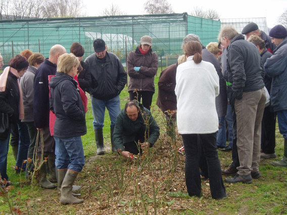 Editiepajot-jacky-delcour-snoeidemonstratie1-27022014