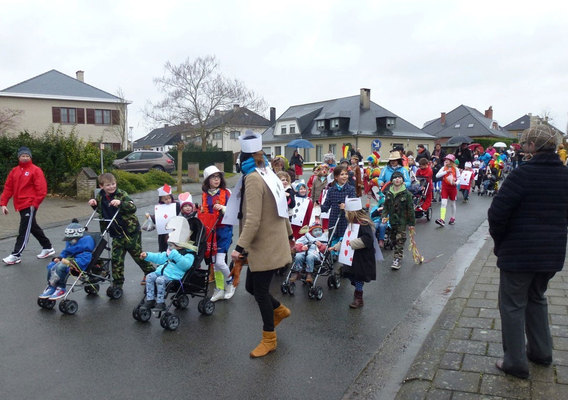 Editiepajot-jacky-delcour-carnavalstoet-lombeek-28022014