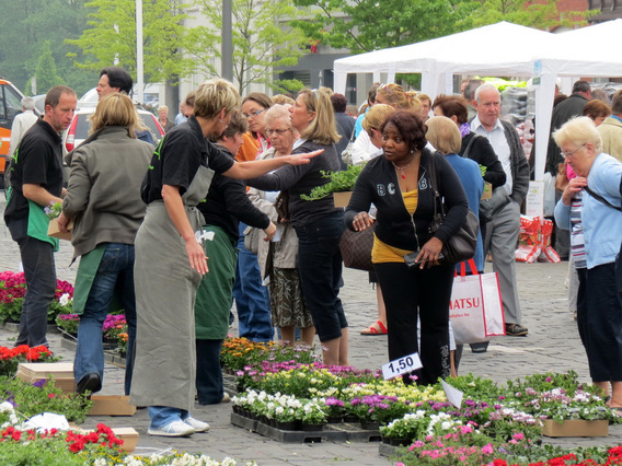 Editiepajot-jacky-delcour-bloemenmarkt-13052014