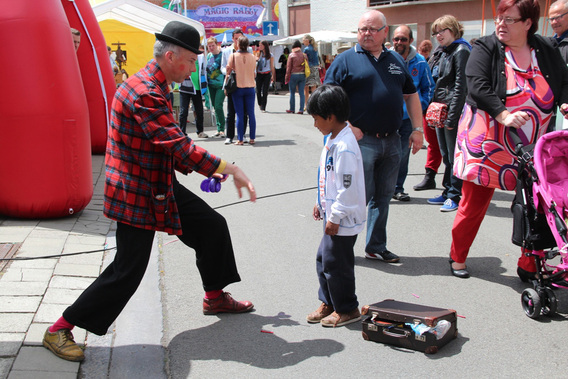 Editiepajot-jacky-delcour-braderie-liedekerke-14052014