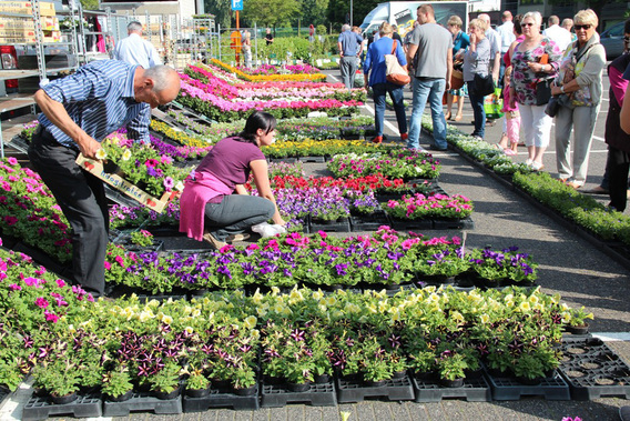 Editiepajot-jacky-delcour-bloemenmarkt-18052014