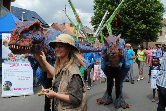 Braderie_liedekerke_2014__8_