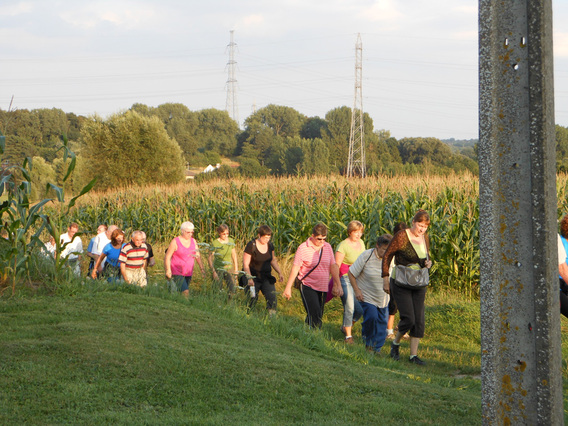 Editiepajot-ingezonden-zomerwandeling-davidsfonds-23062014