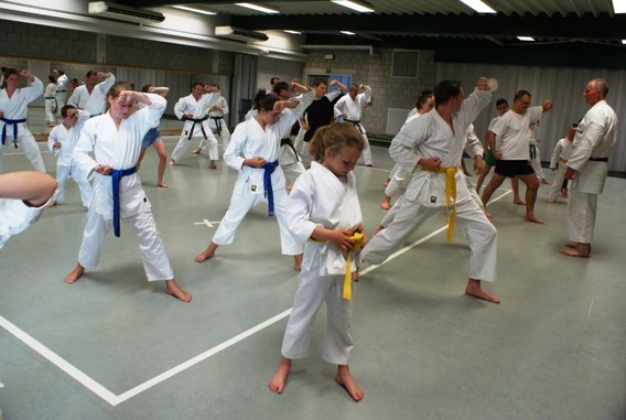 Shotokan_karateclub_herne_juni_2014__3_