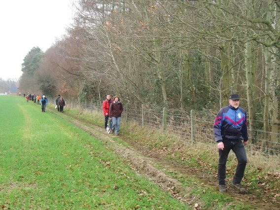 Winterwandeling_marktrotters__2014__11_