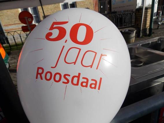 2015-01-12_klinken__roosdaal