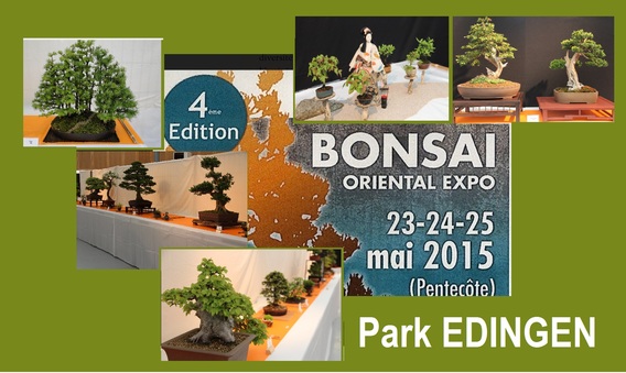 Aankondiging_bonsai_2015