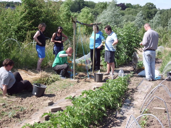 Editiepajot_ingezonden_groentenieren_van_velt_groot-asse